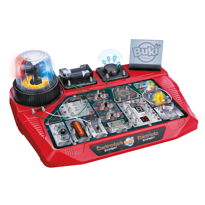 Electronic expert