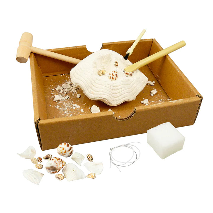Buki Dig Kit Coquillages Shells